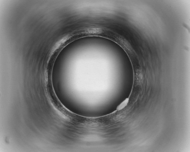 X0000099440726200805091312