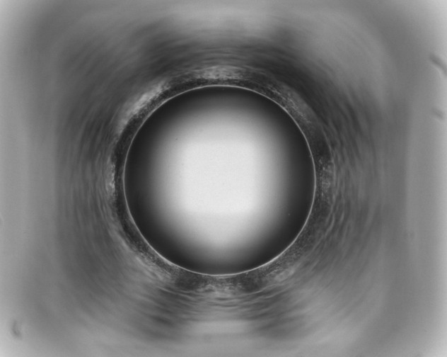 X0000099440727200805091312
