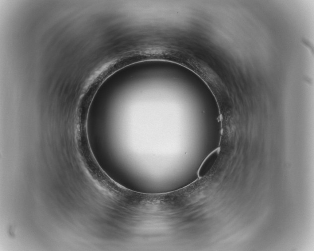 X0000099440728200805091312