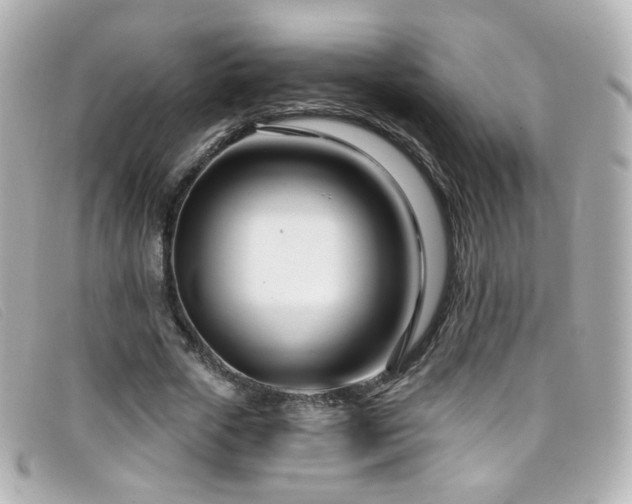 X0000099440729200805091312