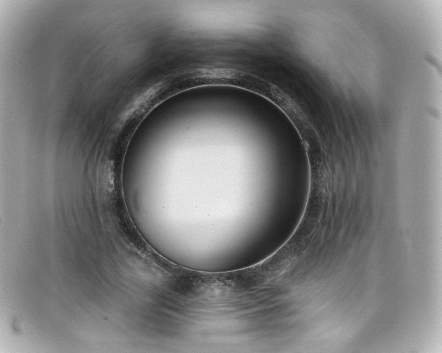 X0000099440731200805091312