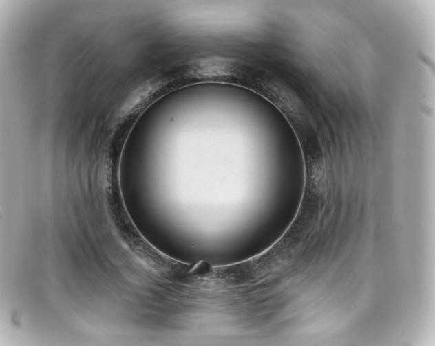 X0000099440732200805091312