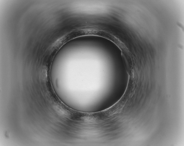X0000099440733200805091312