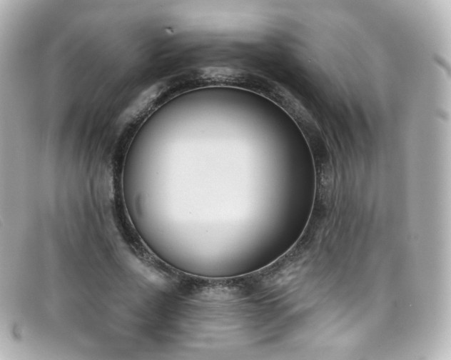 X0000099440734200805091312