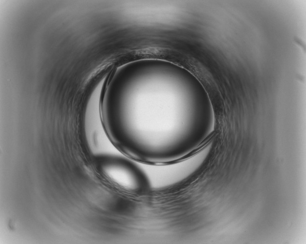X0000099440735200805091312