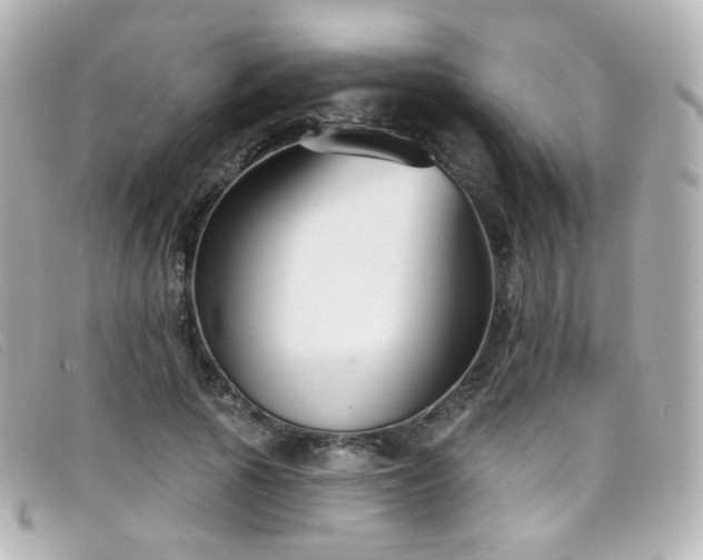 X0000099440737200805091312