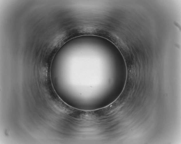 X0000099440739200805091312