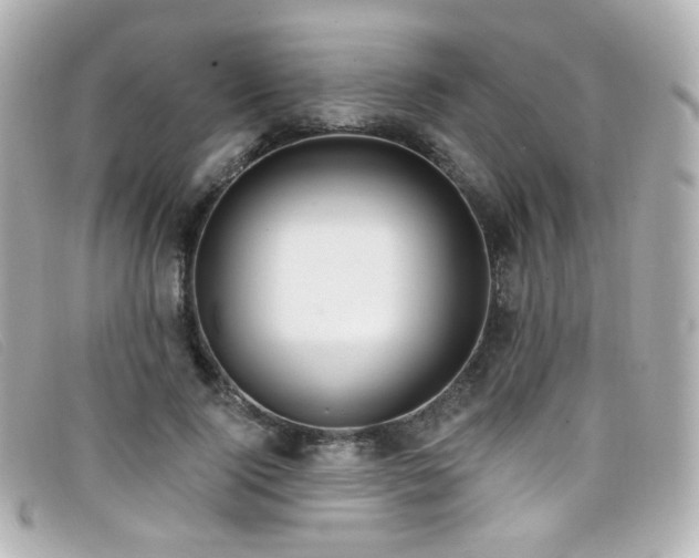 X0000099440740200805091312