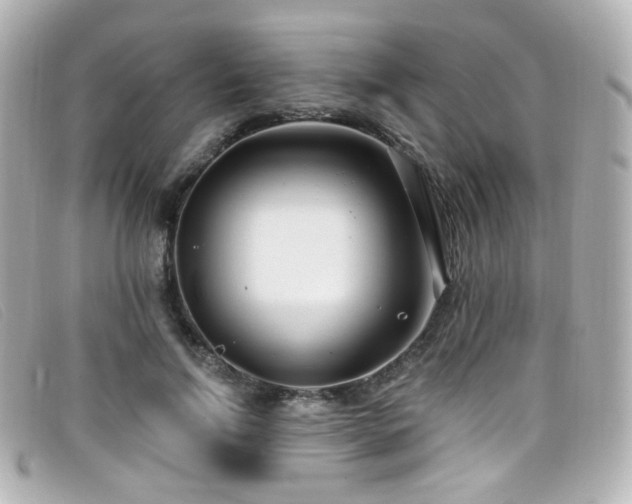 X0000099440742200805091312