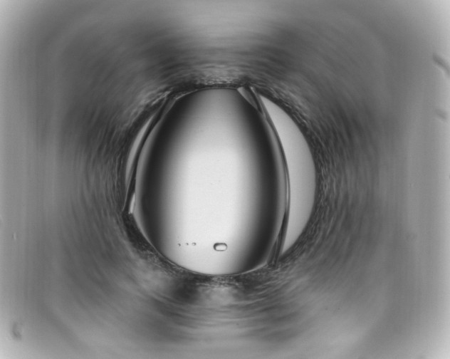 X0000099440743200805091312
