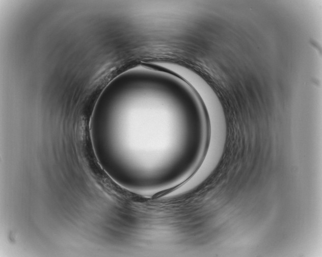 X0000099440744200805091312