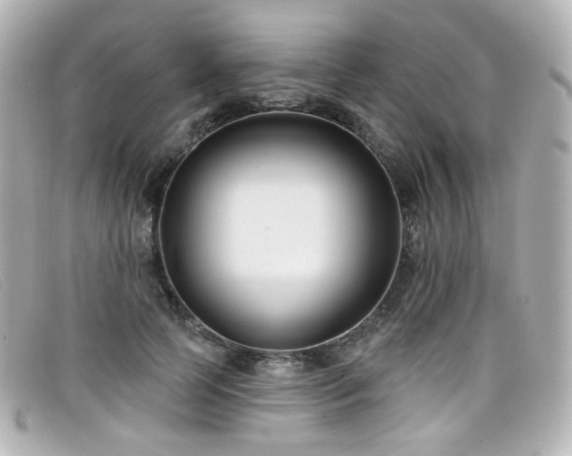 X0000099440745200805091312