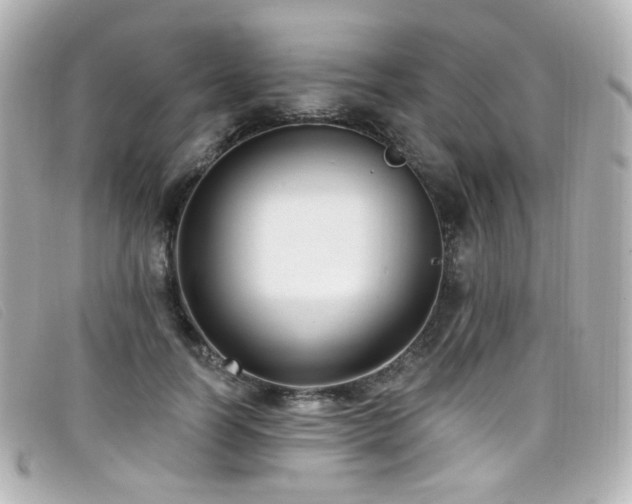 X0000099440746200805091312