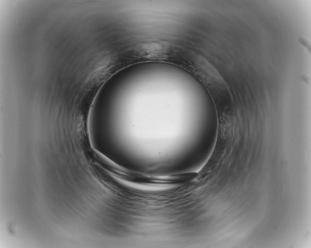 X0000099440748200805091312