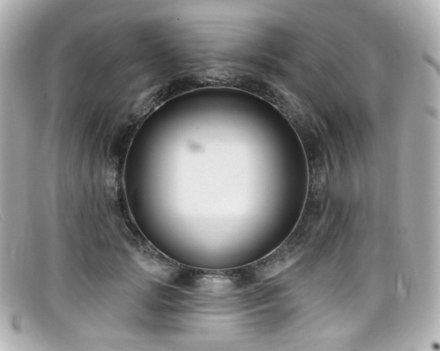 X0000099440749200805091312