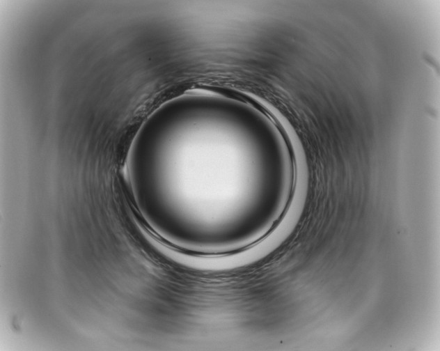 X0000099440750200805091312