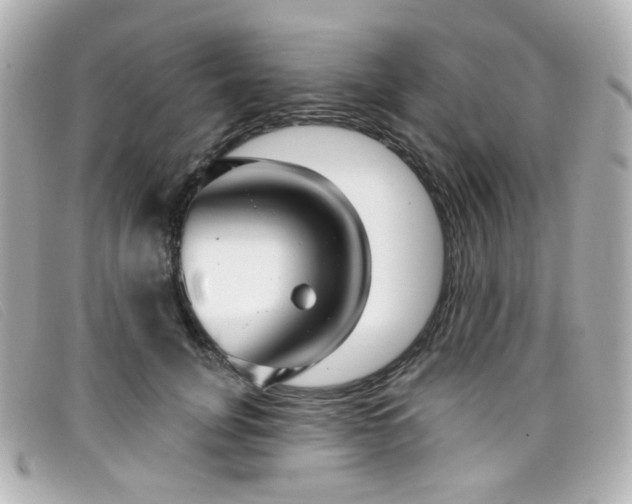 X0000099440751200805091312