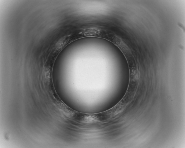 X0000099440753200805091312