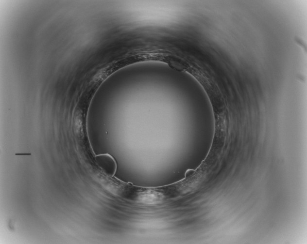 X0000099440754200805091312