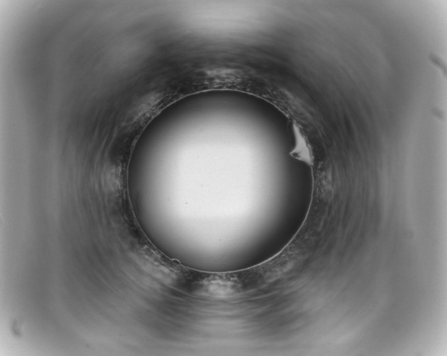 X0000099440756200805091312