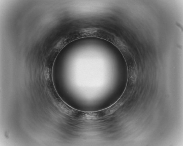 X0000099440758200805091312