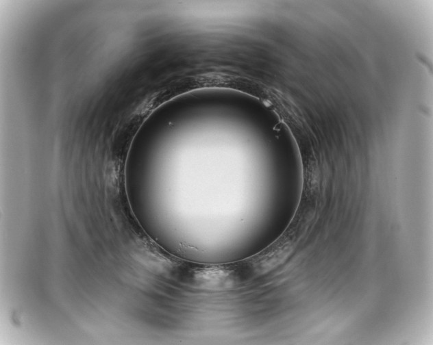 X0000099440759200805091312