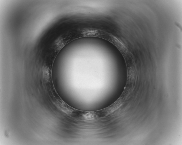 X0000099440761200805091312