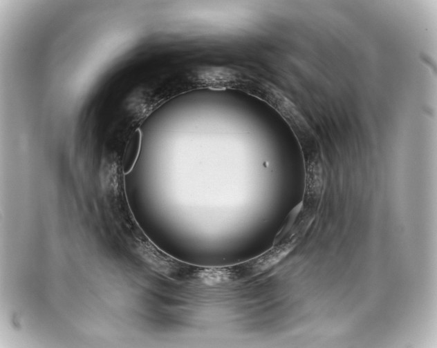 X0000099440762200805091312