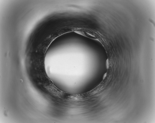 X0000099440763200805091312