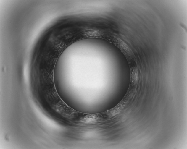 X0000099440764200805091312