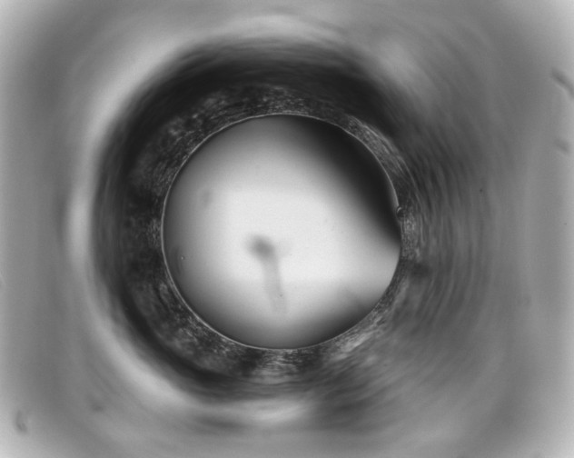 X0000099440765200805091312