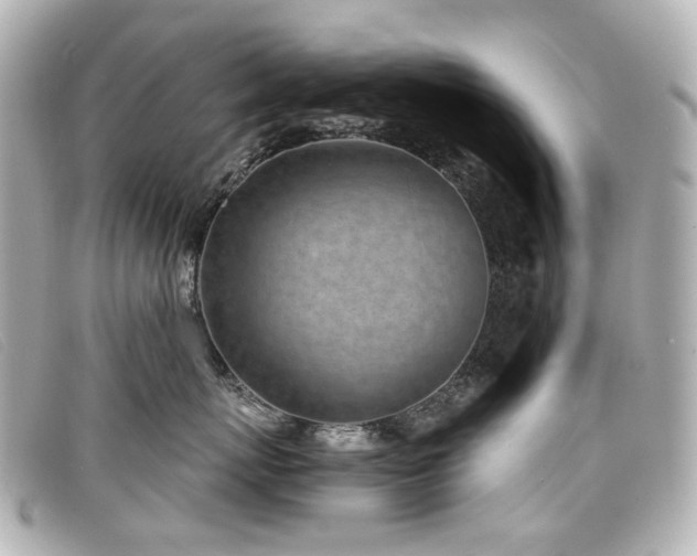 X0000099440767200805091312