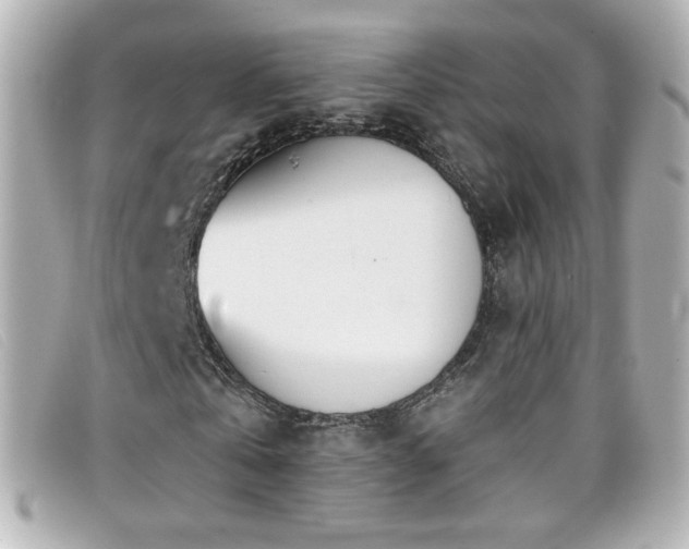X0000099440769200805091312