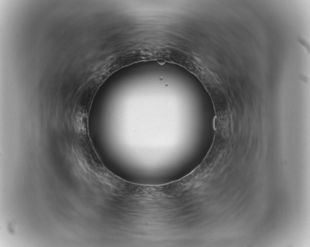 X0000099440770200805091312