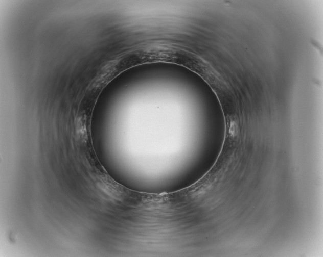 X0000099440771200805091312