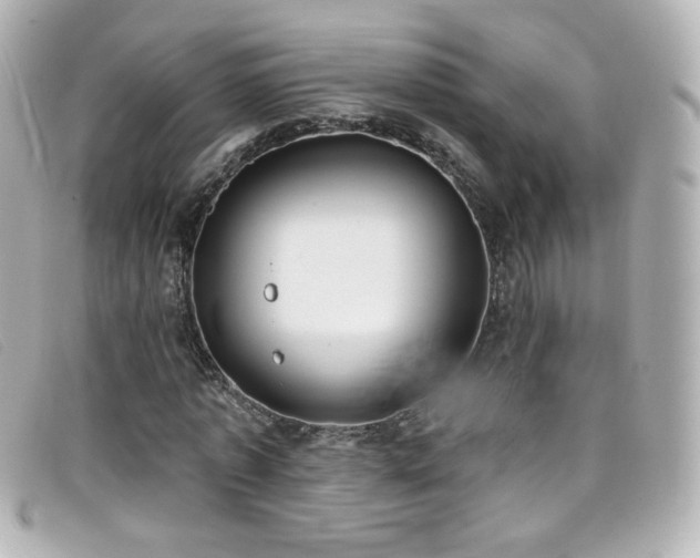 X0000099440773200805091311