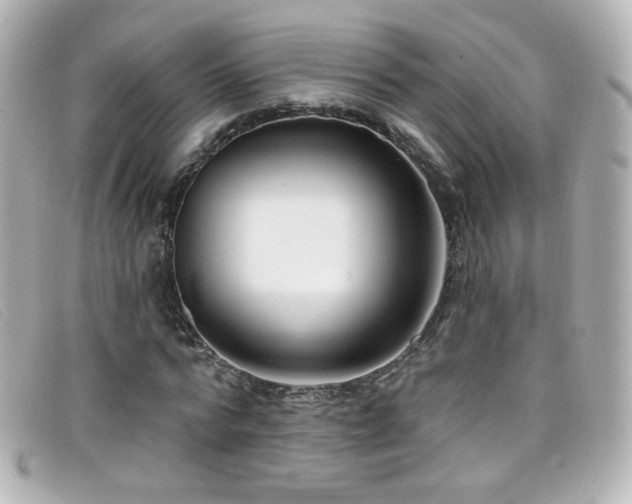 X0000099440776200805091311