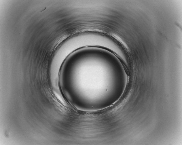 X0000099440777200805091311