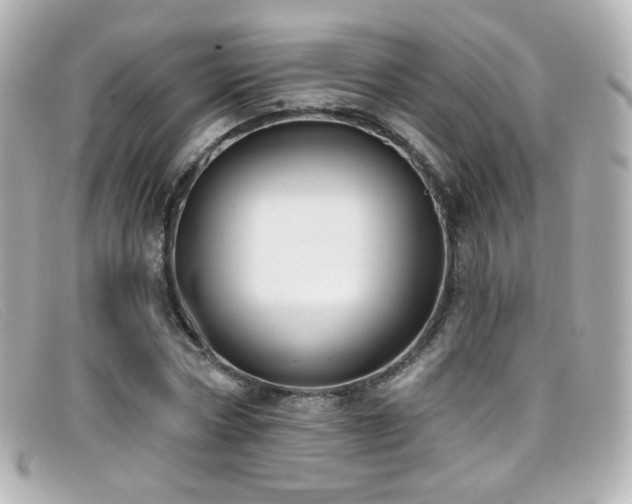 X0000099440778200805091311