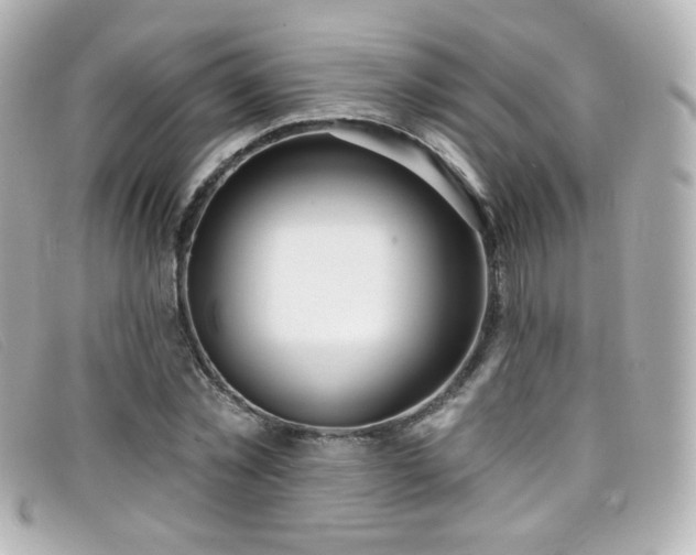 X0000099440781200805091311