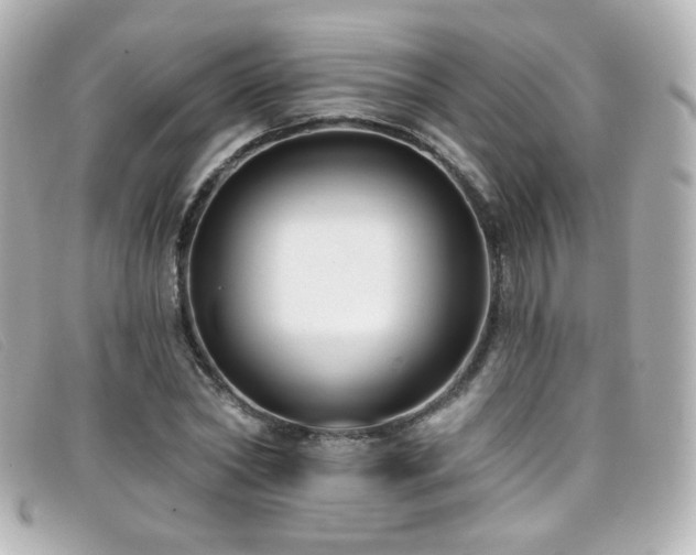 X0000099440782200805091311