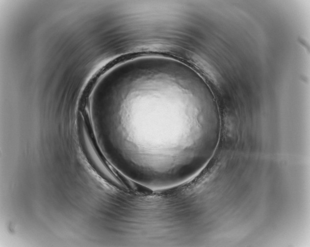X0000099440784200805091311