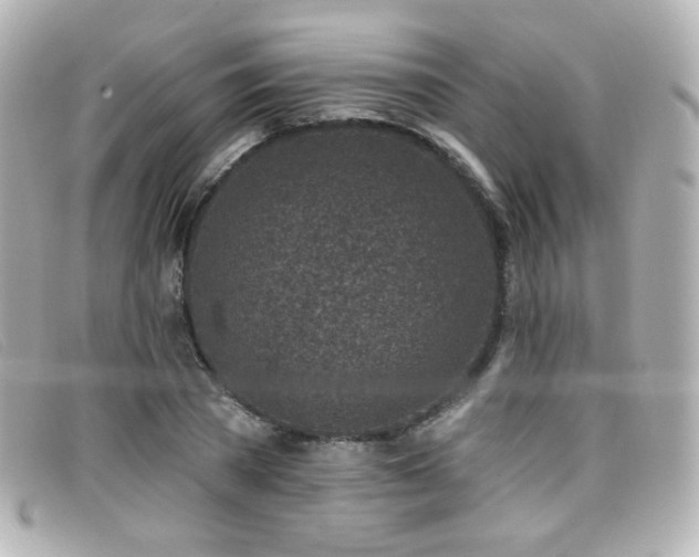 X0000099440785200805091311