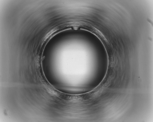 X0000099440786200805091311