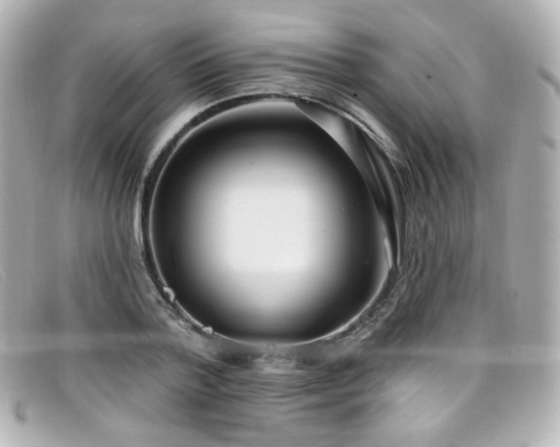 X0000099440788200805091311
