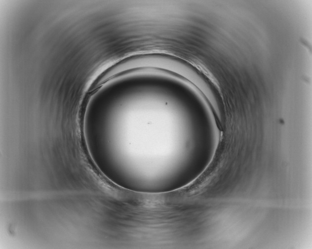 X0000099440789200805091311
