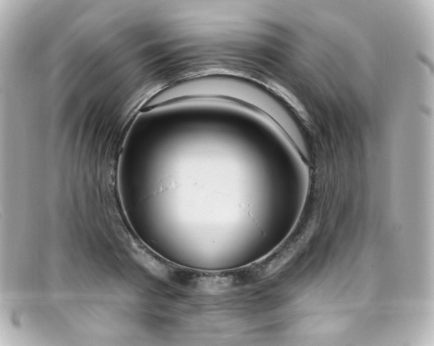 X0000099440793200805091311