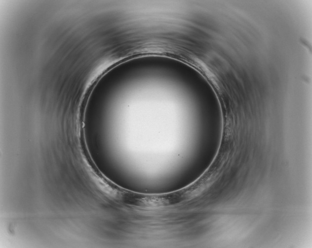 X0000099440795200805091311