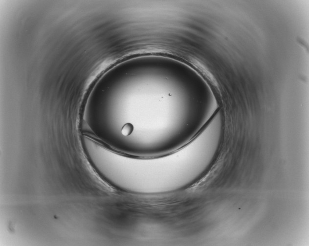 X0000099440797200805091311
