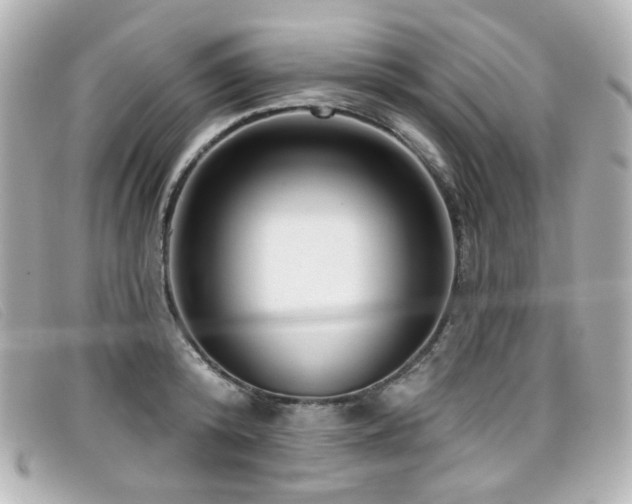 X0000099440800200805091311